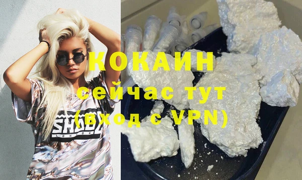 прущие грибы Арсеньев