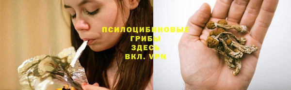 прущие грибы Арсеньев