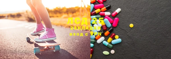 прущие грибы Балабаново