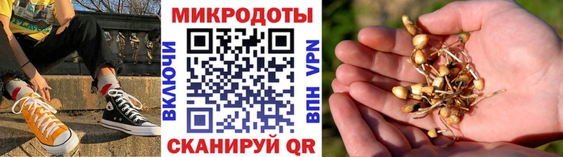 Галлюциногенные грибы прущие грибы  MEGA рабочий сайт  Белая Калитва  купить наркотики цена 
